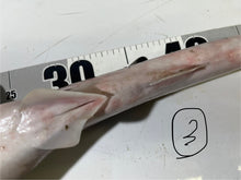 画像をギャラリービューアに読み込む, 【-60度】エドアブラザメ2025.10.29