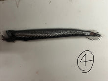 画像をギャラリービューアに読み込む, ワニトカゲギス【2025.1.22】