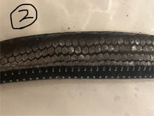 画像をギャラリービューアに読み込む, ワニトカゲギス