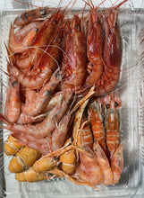 画像をギャラリービューアに読み込む, (-60度) ぷりっぷり!海老福袋1.25kg【鮮度直送】