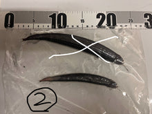 画像をギャラリービューアに読み込む, ワニトカゲギス