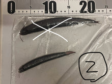 画像をギャラリービューアに読み込む, ワニトカゲギス