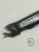 画像をギャラリービューアに読み込む, ワニトカゲギス【2025.1.22】