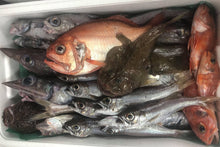 画像をギャラリービューアに読み込む, 深海魚直送便(食べて楽しむ)10月より発送予定