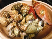 画像をギャラリービューアに読み込む, 冷凍ヘンテコ深貝便(採取地記載)約1㎏【予約受付】