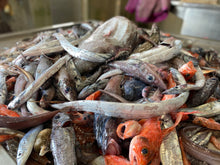 画像をギャラリービューアに読み込む, 深海魚直送便(食べて楽しむ)10月より発送予定