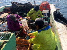 画像をギャラリービューアに読み込む, ヘンテコ深海魚便(食べられません)9月中ばより随時発送予定