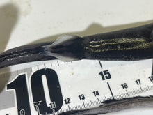 画像をギャラリービューアに読み込む, 【-60度】2025.11.11ギンザメ属、フジクジラセット
