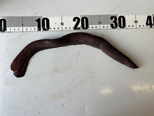 画像をギャラリービューアに読み込む, ヌタウナギ
