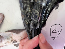 画像をギャラリービューアに読み込む, サメ詰め合わせセット【2025.11.4】
